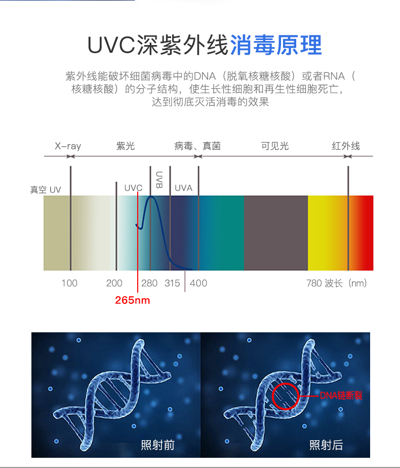 1710126264383481.jpg UV300-發(fā)布詳情_04.jpg