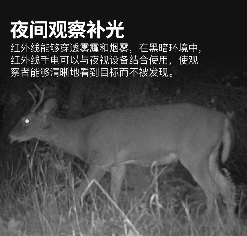 1732170329733991.jpg 手電筒廠家